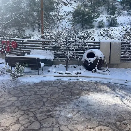 Diamond Stone Wooden