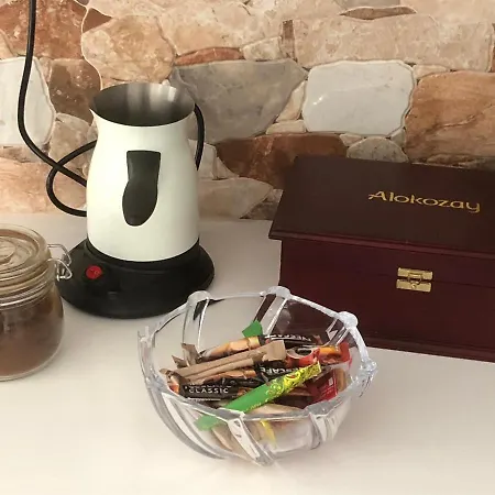 Diamond Stone Wooden Tatil Evi Chandria