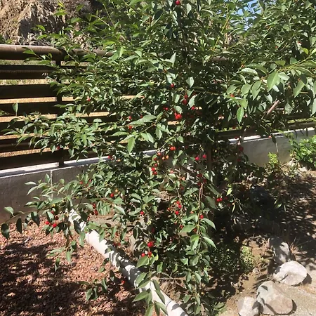 Tatil Evi Diamond Stone Wooden Chandria