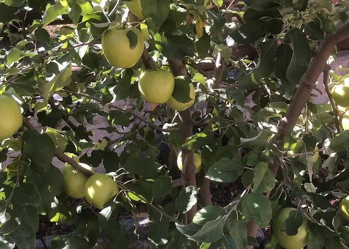 Diamond Stone Wooden