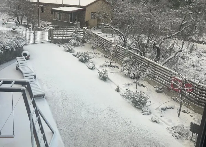 Diamond Stone Wooden * Chandria